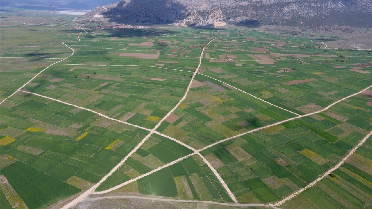 Ankara Kalecik tarımsal arazi kullanım planlaması
